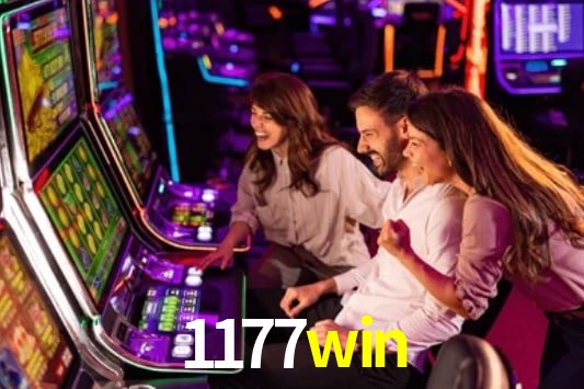Interface Premium 1177win